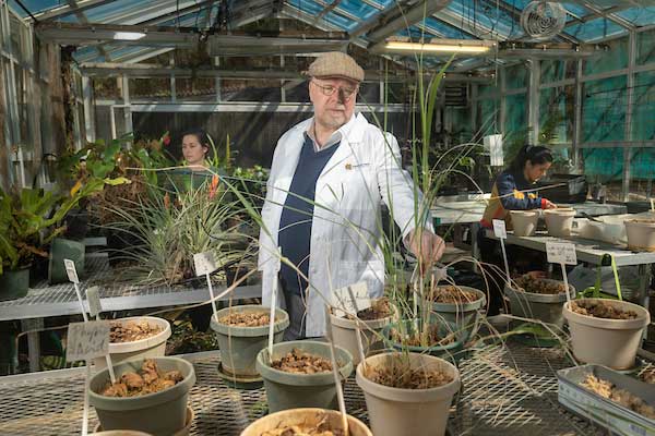 student in a green house