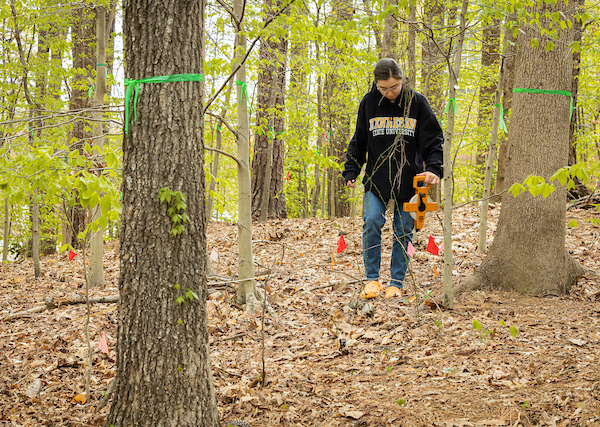 student in the woods