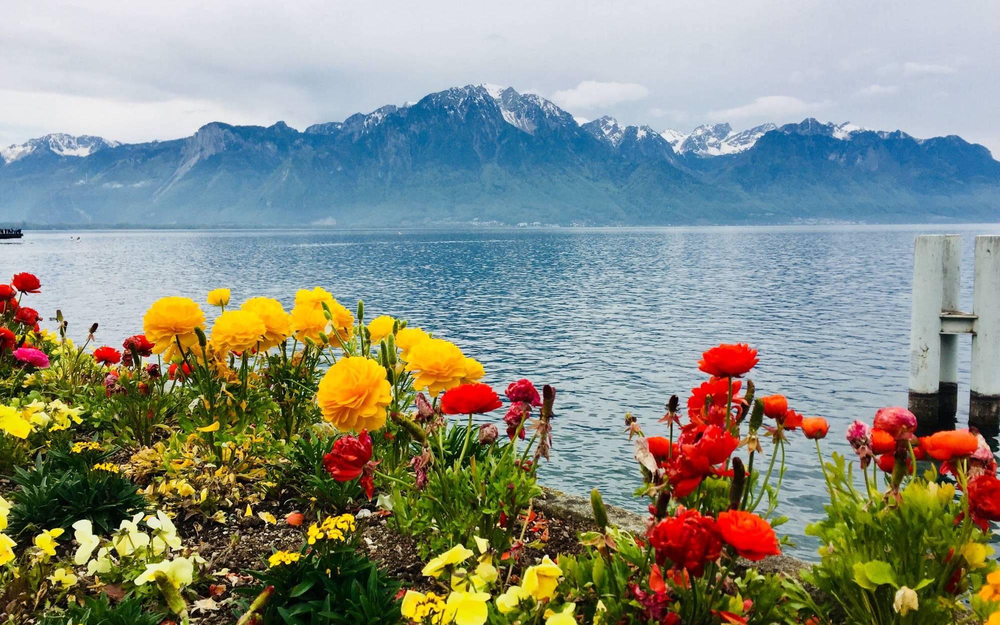 Category: Natural or Manmade Beauty - First Place  / Category: Natural or Manmade Beauty - First Place "See the Touch of Winter's Snow in Montreux" Rachel Schleier Switzerland 