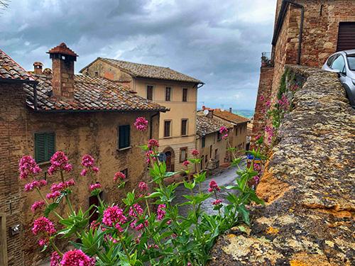 Flowers on a balcony in Montepulciano / Flowers on a balcony in Montepulciano