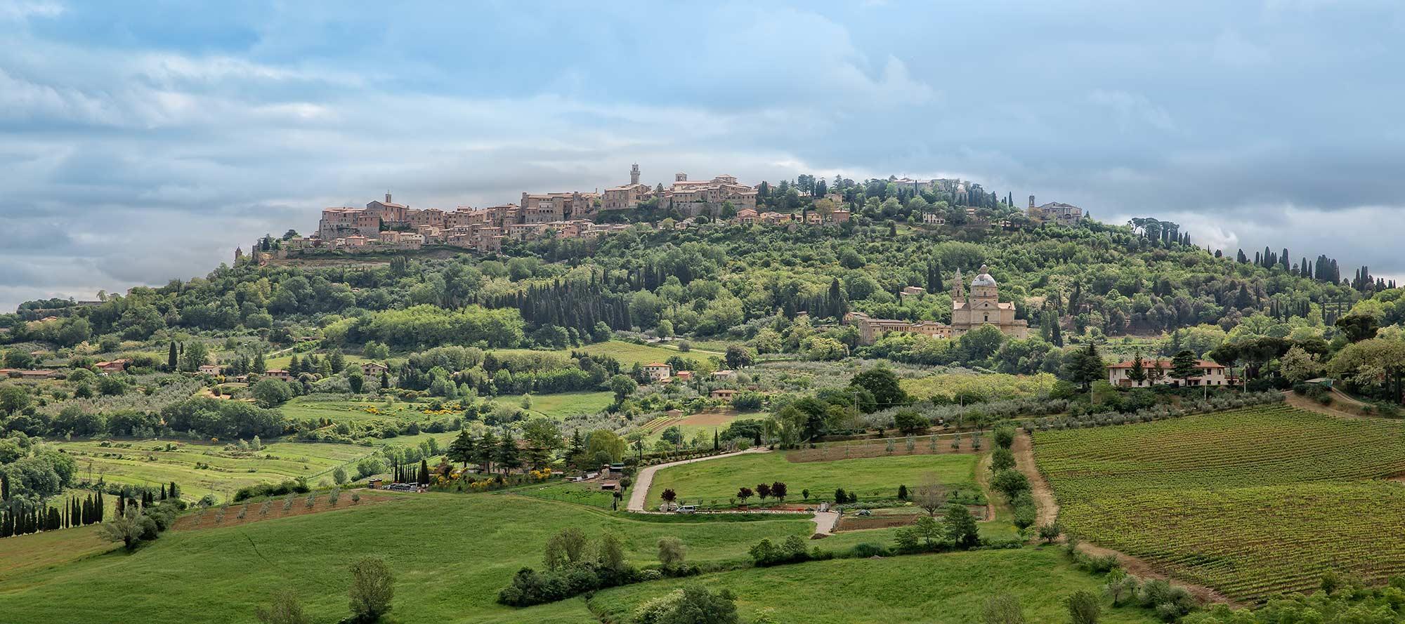 Overview of the Montepulciano / Overview of the Montepulciano