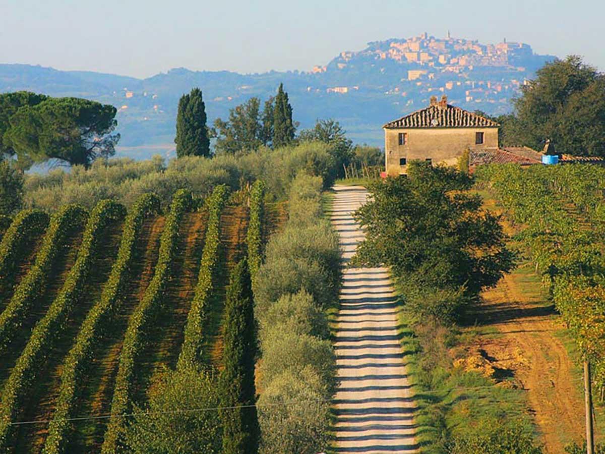 Montepulciano, Italy  / Montepulciano, Italy 