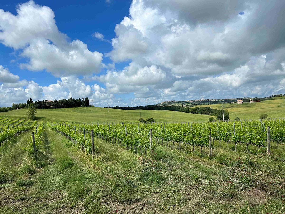 Montepulciano, Italy  / Montepulciano, Italy 