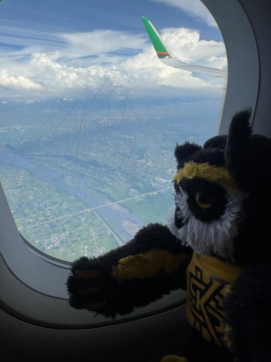  / Scrappy plush looking out an airplane window