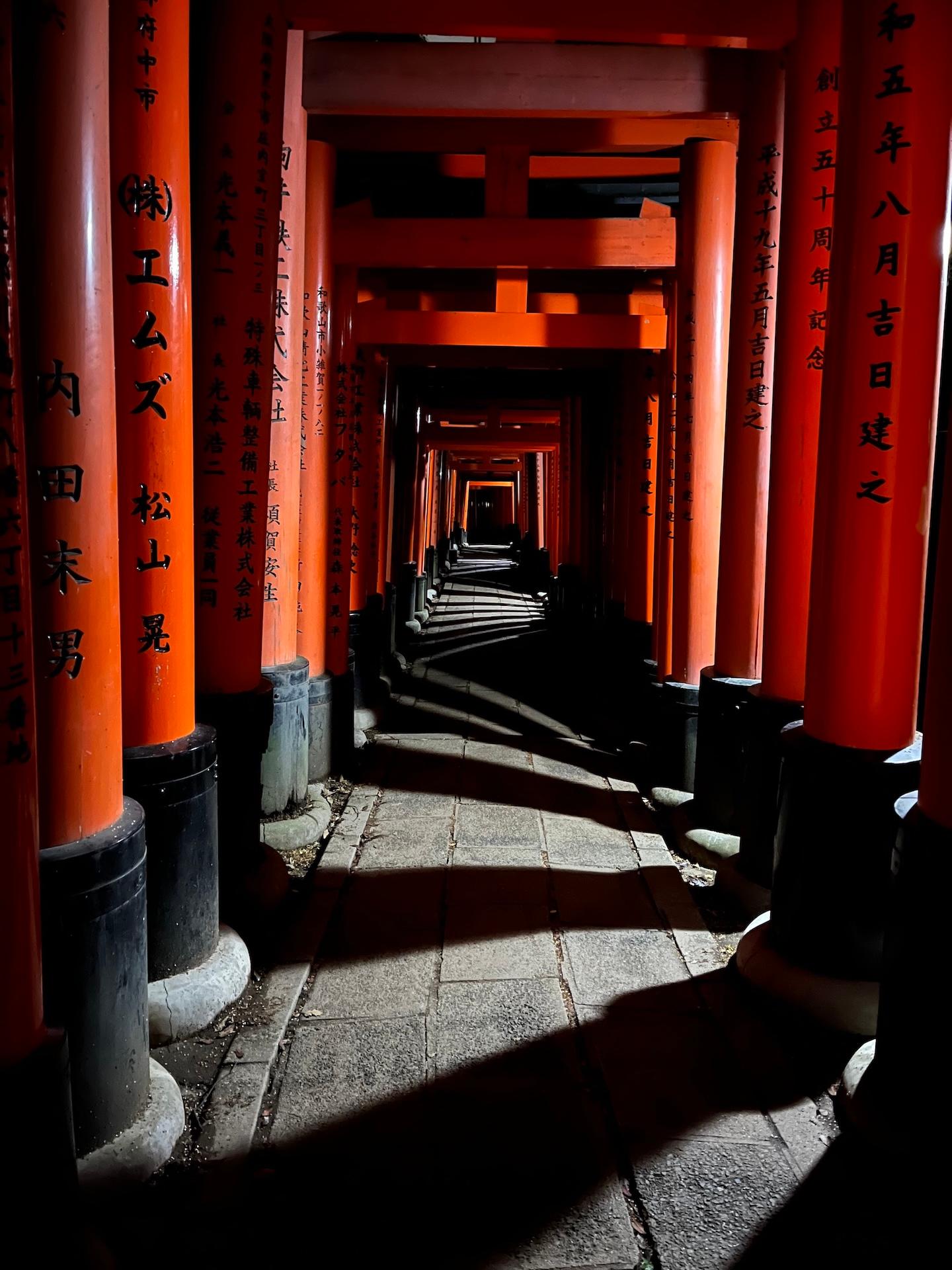  / Japanese structure in the shadows