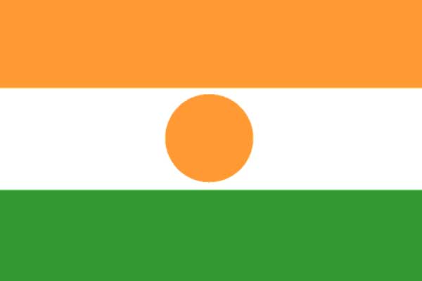 Niger Flag