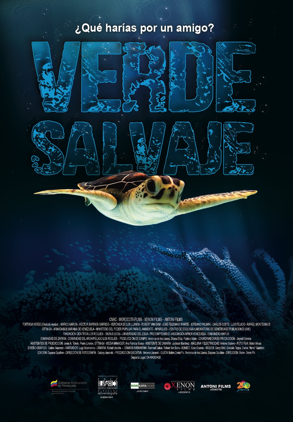 venezuela latin american film festival 2025
