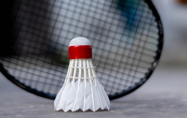 badminton birdie and racquet rest on the ground