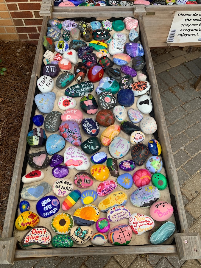 Image of painted rocks in garden. 
