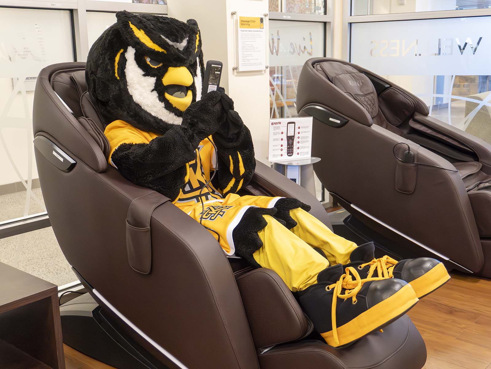 scrappy the owl enjoying massage chair
