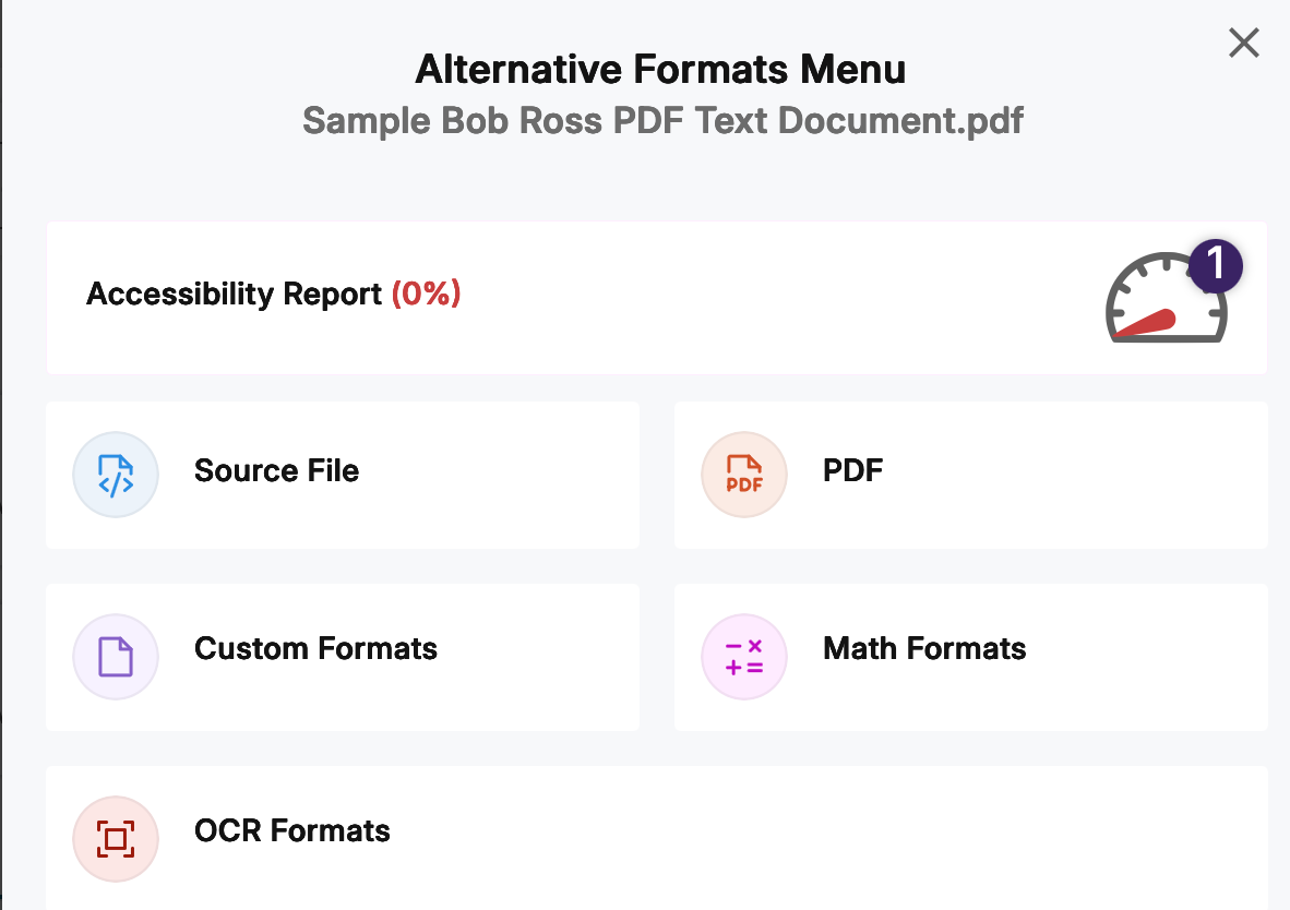 Alternative Formats Menu also includes the Accessibility Report
