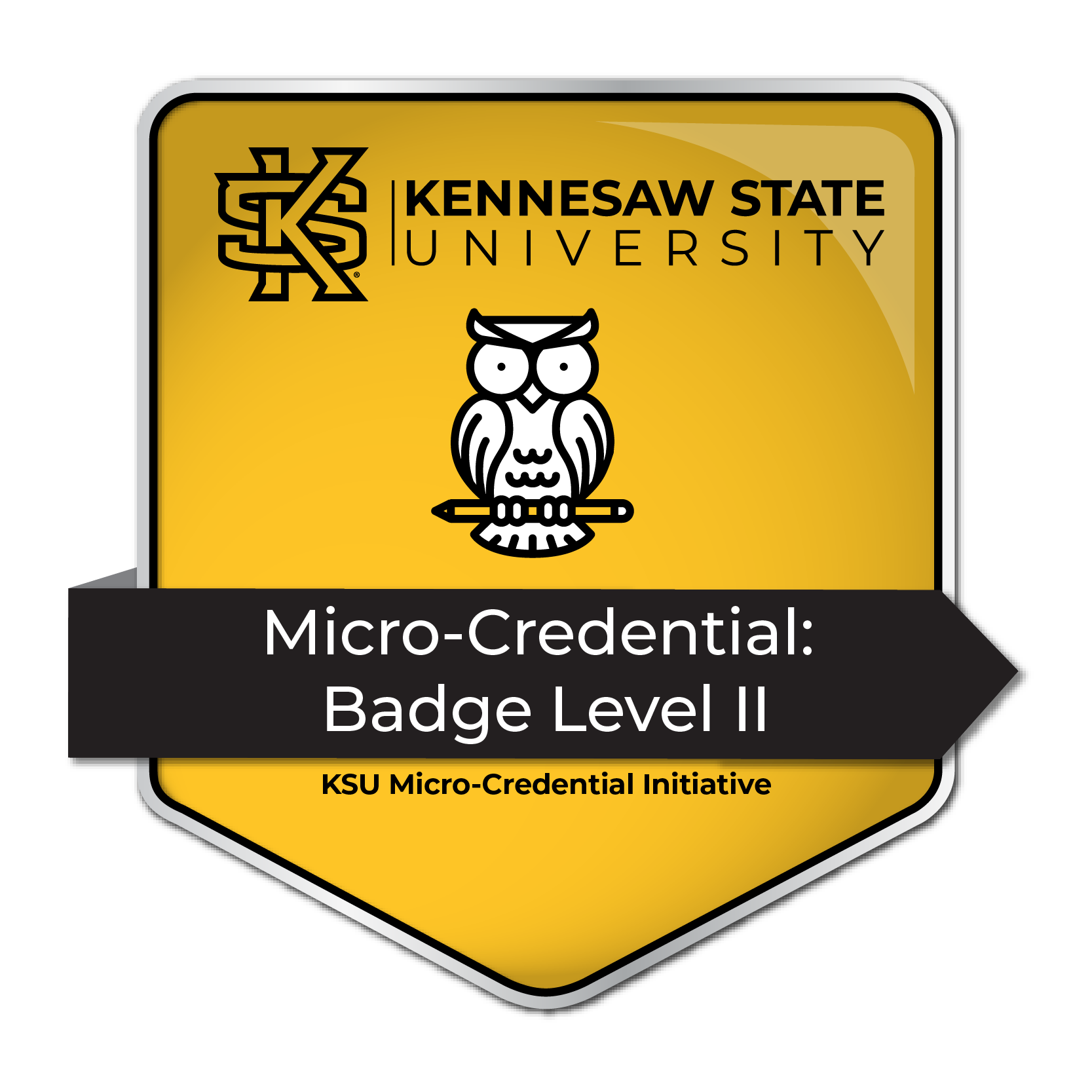 An example of a level 2 Micro-credential badge