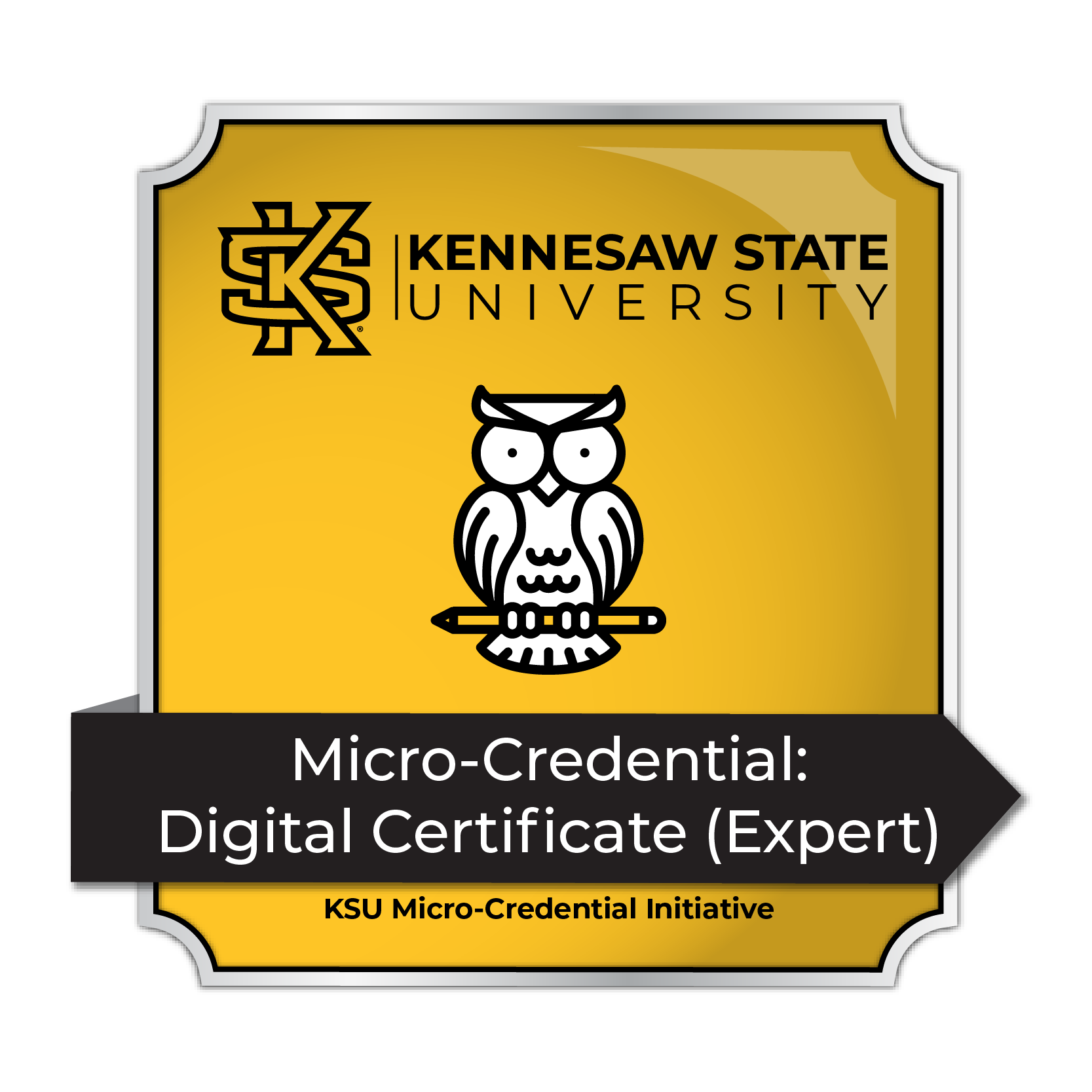 An example of a digital certificate (expert)