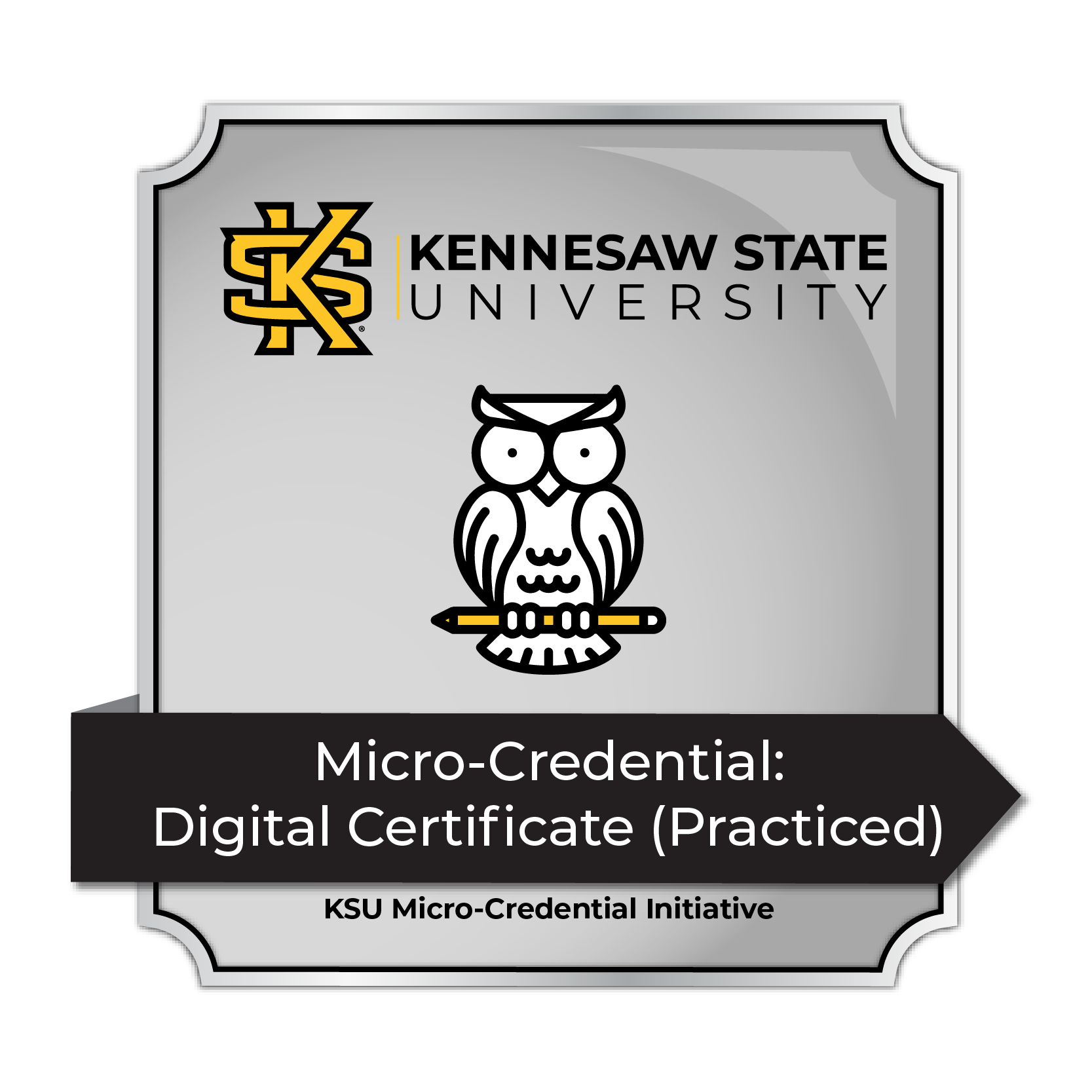 An example of a digital certificate (practiced)