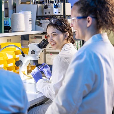 ksu student using microscope to research their project.