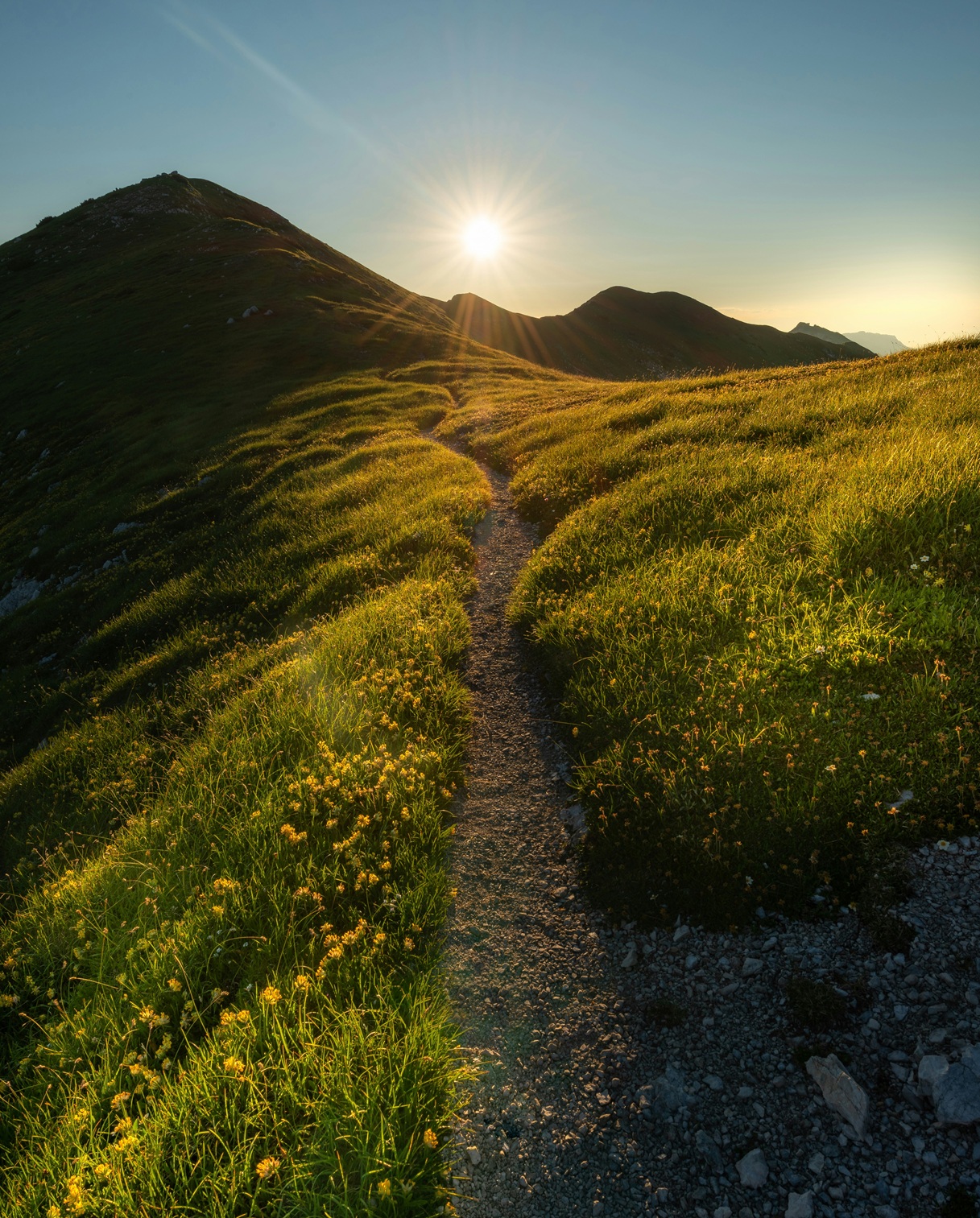 image of a hiking trail going up a mountain