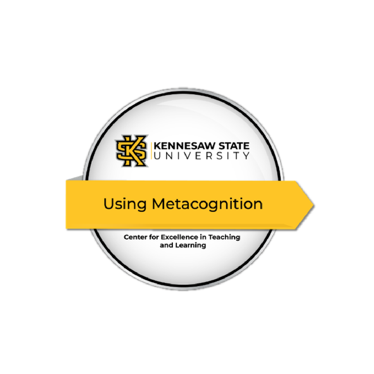using metacognition badge