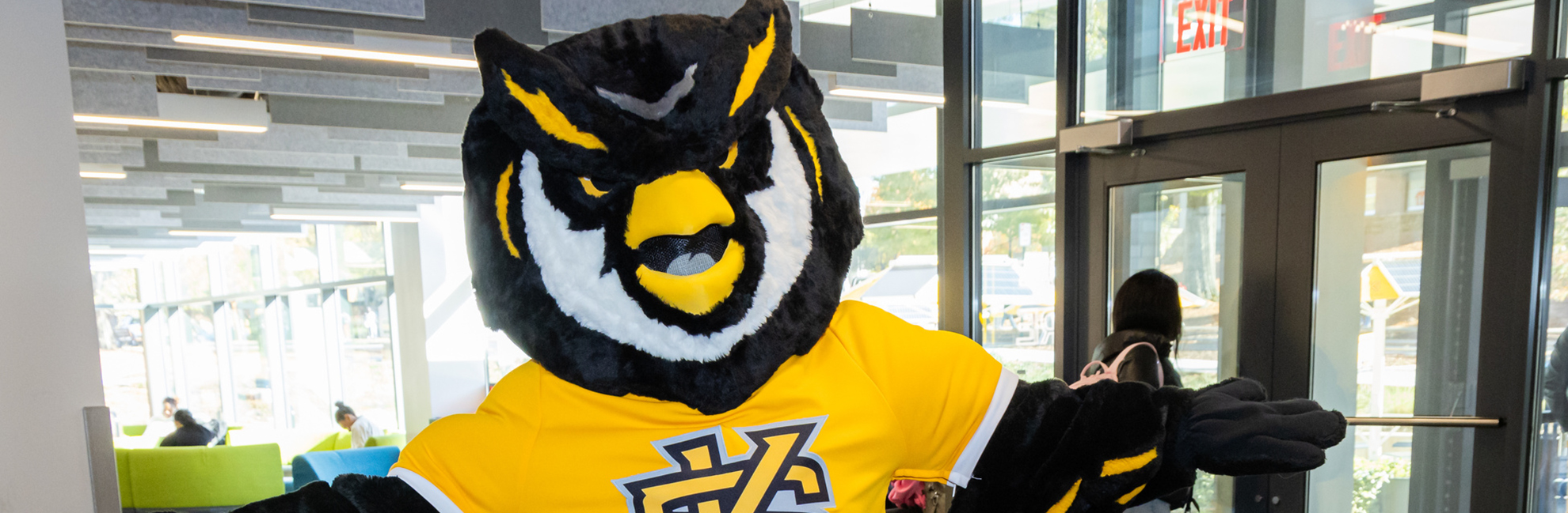 scrappy the owl in building lobby