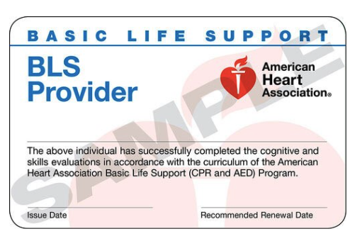 Example BLS Certification 