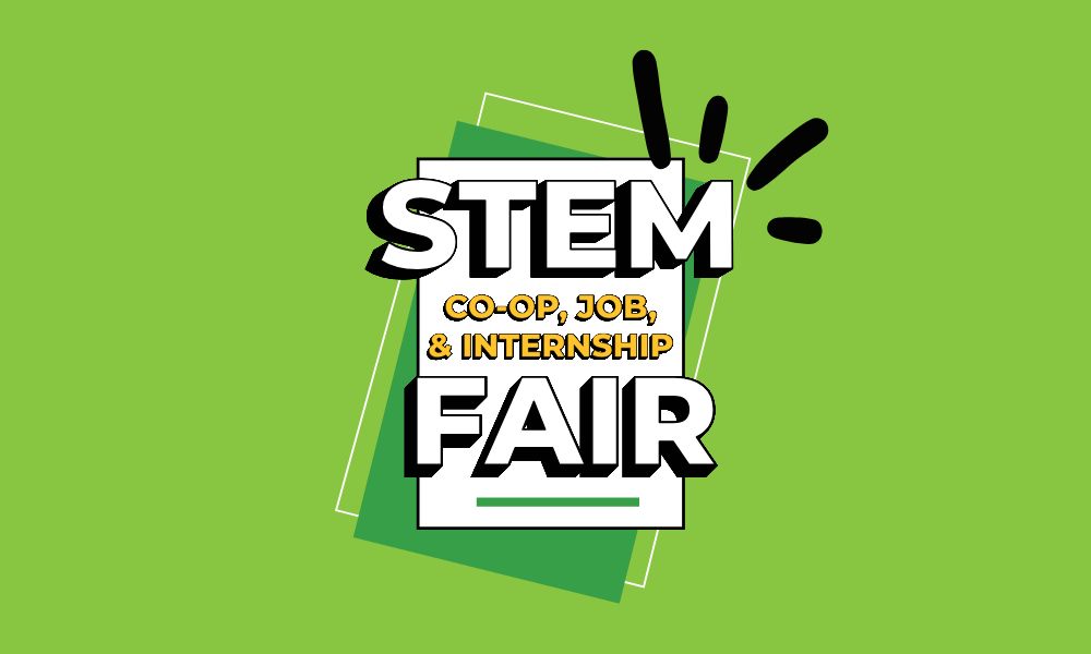 stem fair