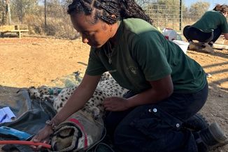 Sacred Luke being hands-on in her internship.