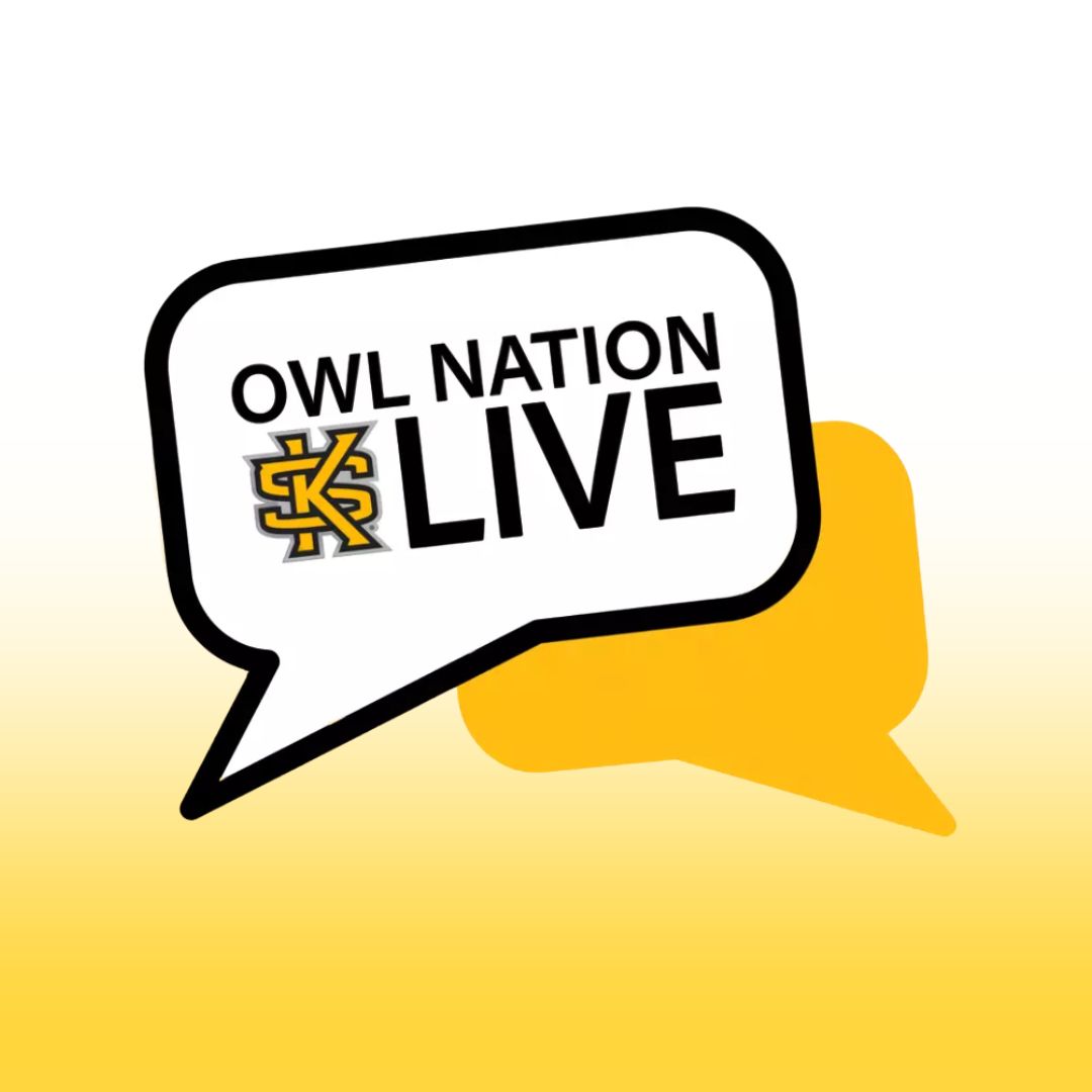 Owl Nation Live