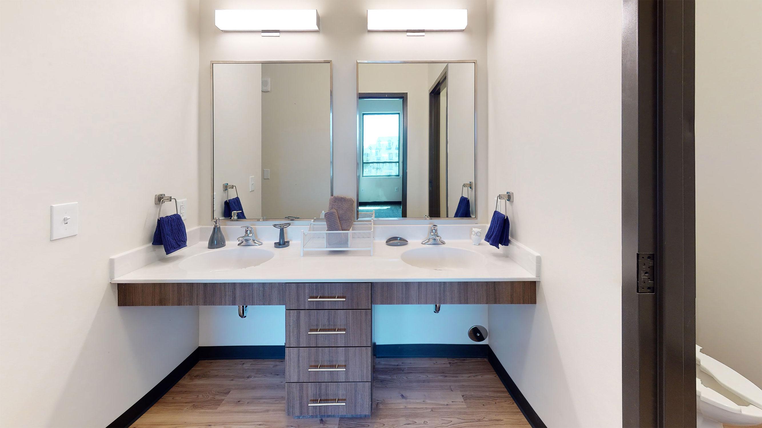Dual-vanity sink area  / Dual-vanity sink area 