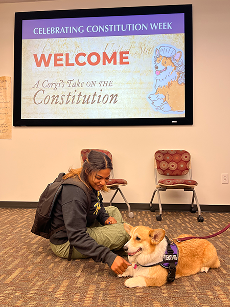 Summer the corgi being pet by en event participant
