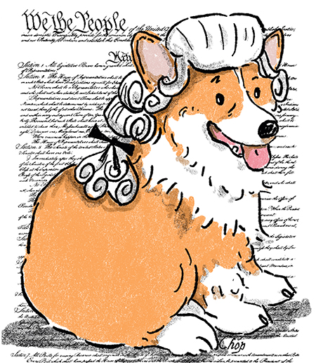 cartoon of a welsh corgi wearing a white powdered wig