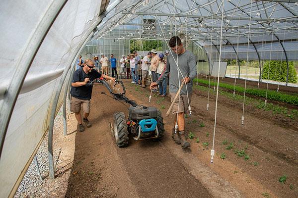 Small Farm Tools Demonstration Day  / Philip Busman of Cherith Farms tries out a Quick Cut Greens Harvester. 