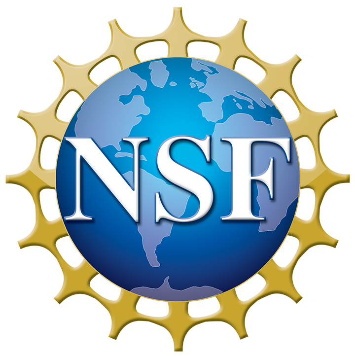 nsf logo