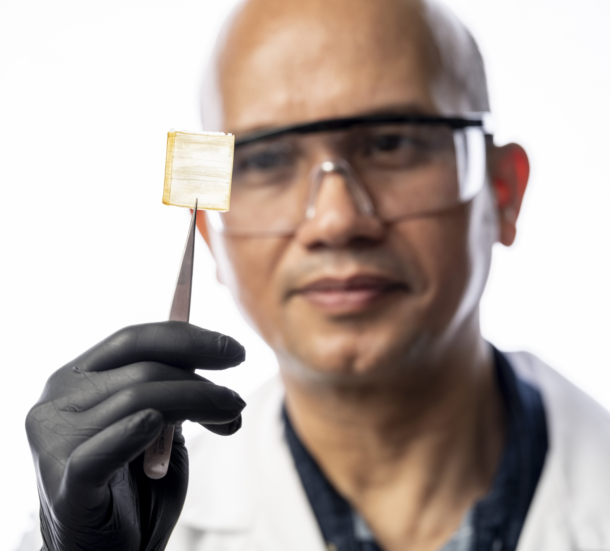researcher holding piece of transparent wood with tweezers.