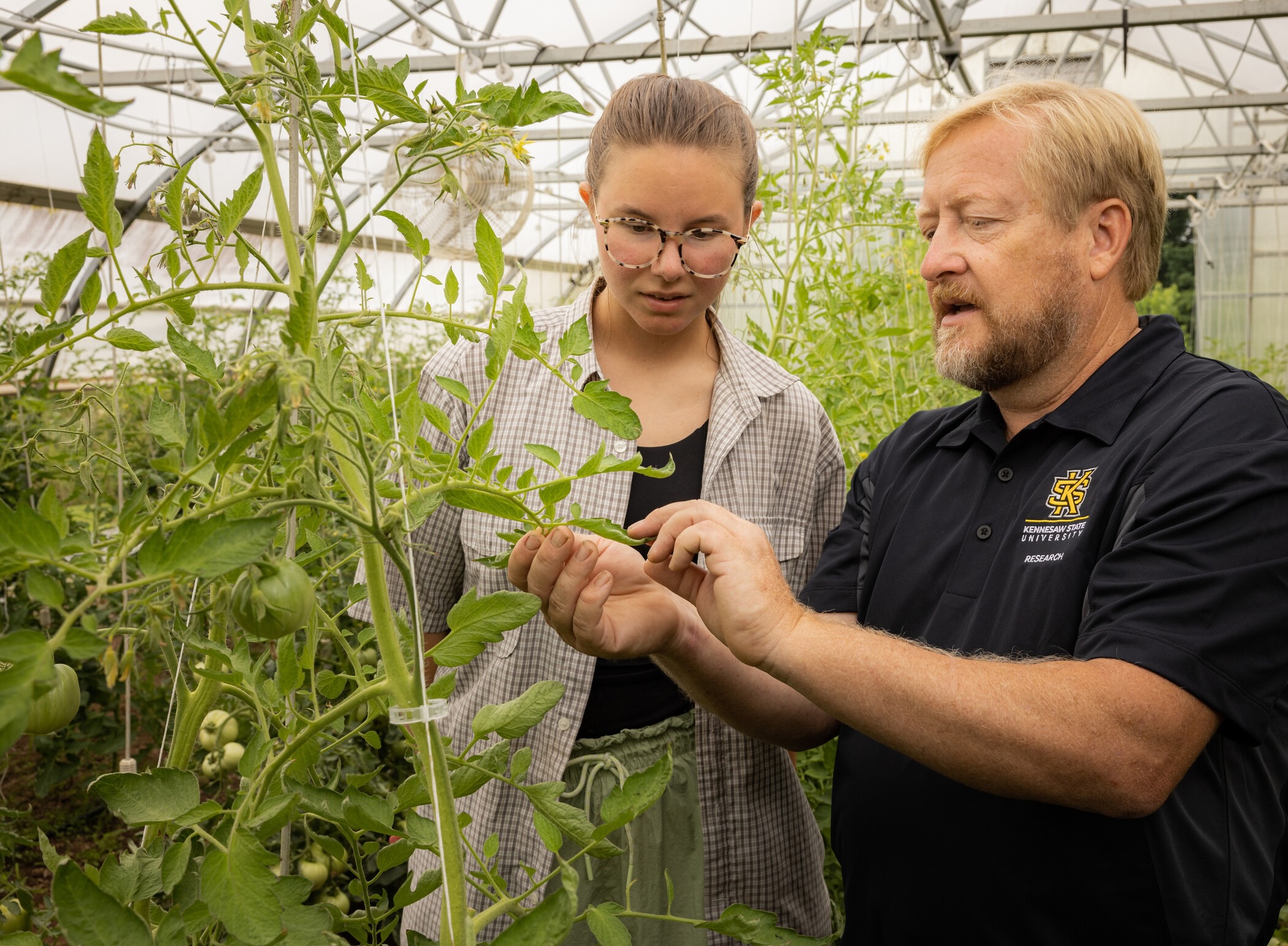 two people examining a plant inside a greenhouse.