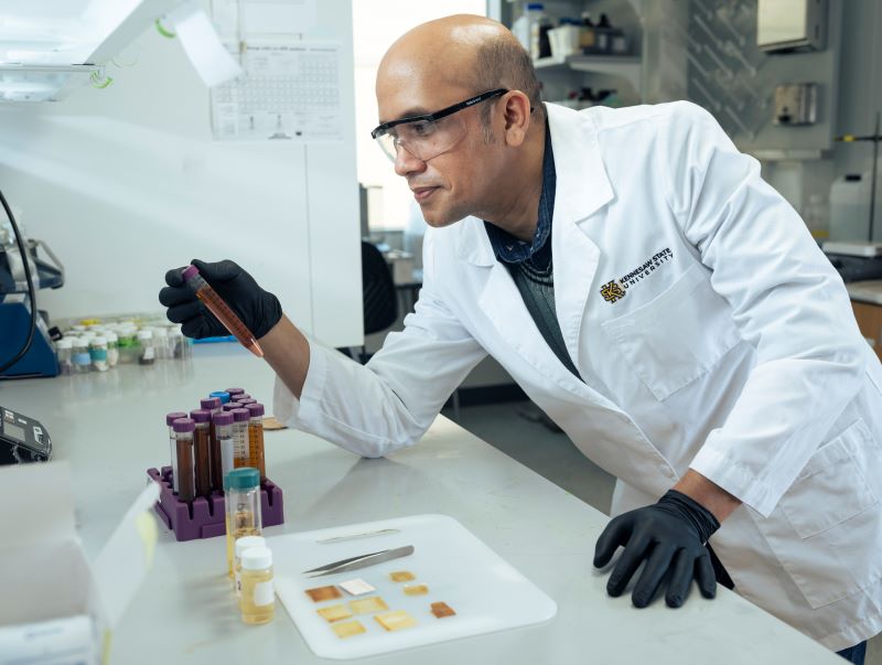 A scientist in a lab coat examines a test tube in a laboratory