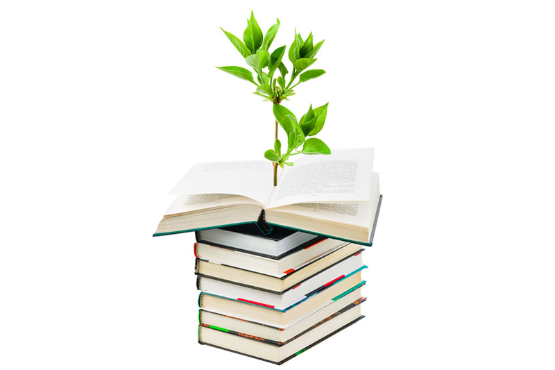 A stack of books with a tree growing out of the books
