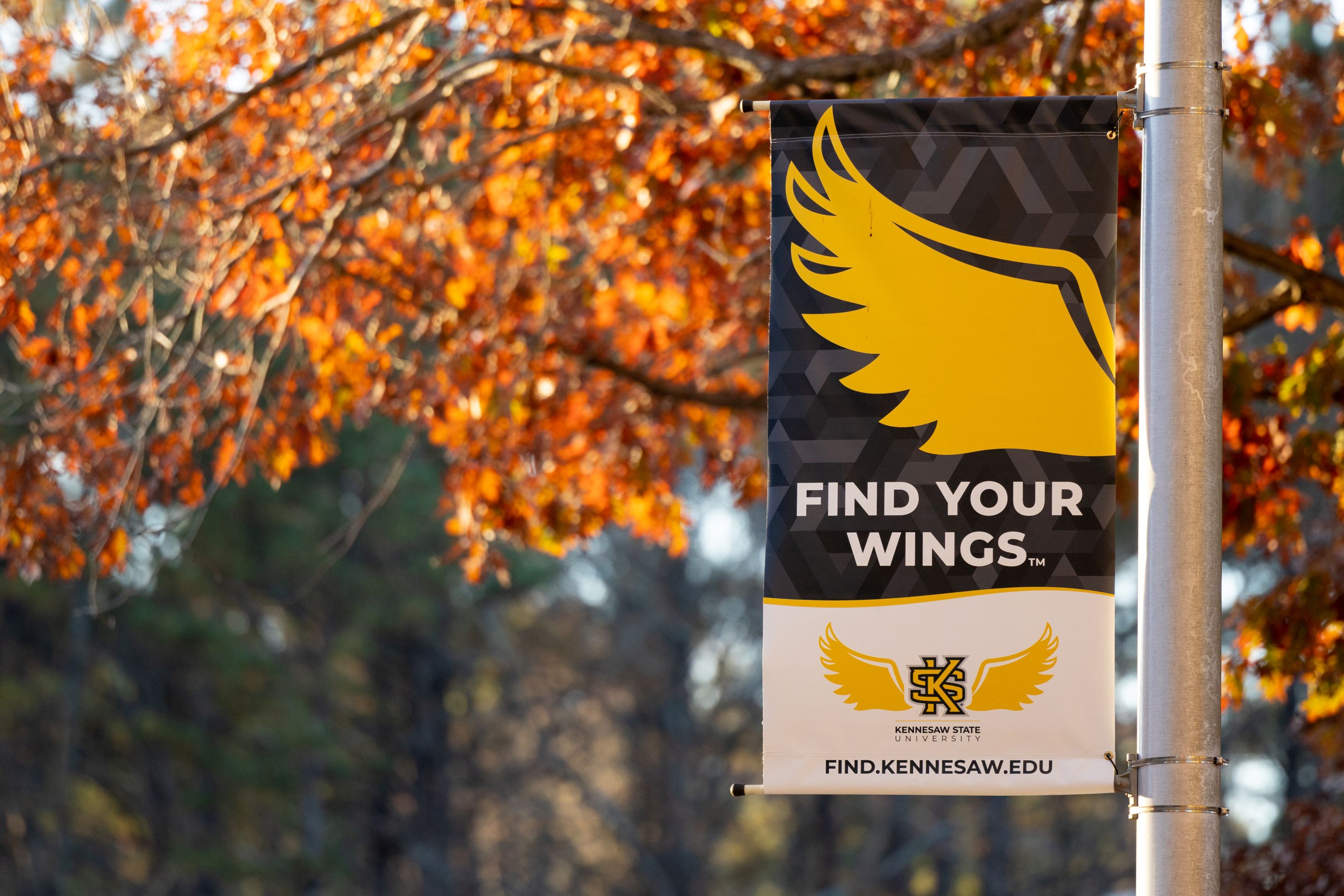 Campus sign with find your wings motto