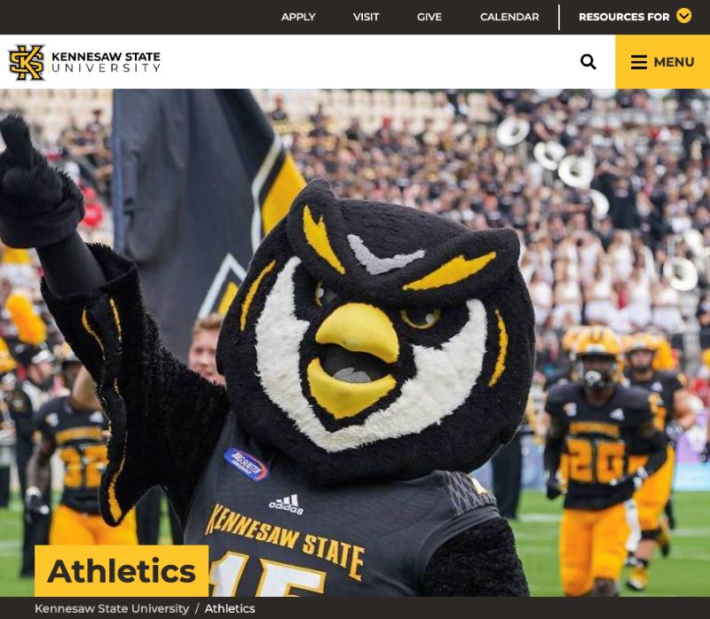 banner image cropped