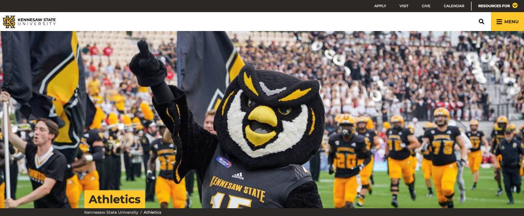 banner image area not cropped