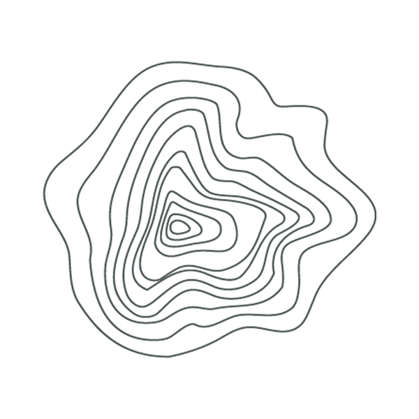 line drawing of fungus