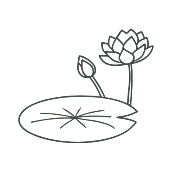 line sketch of a lily pad