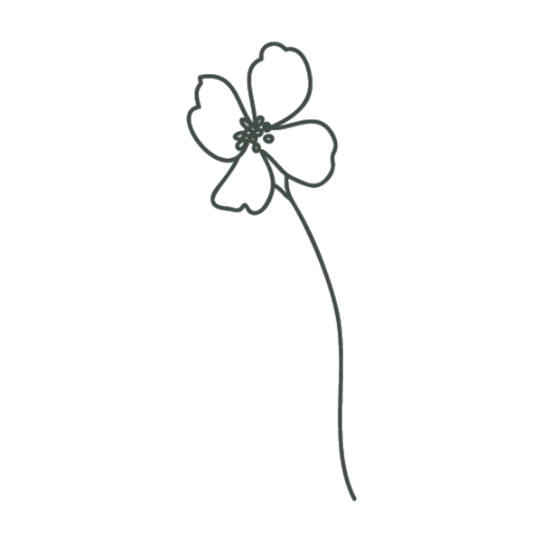 line drawing of flower