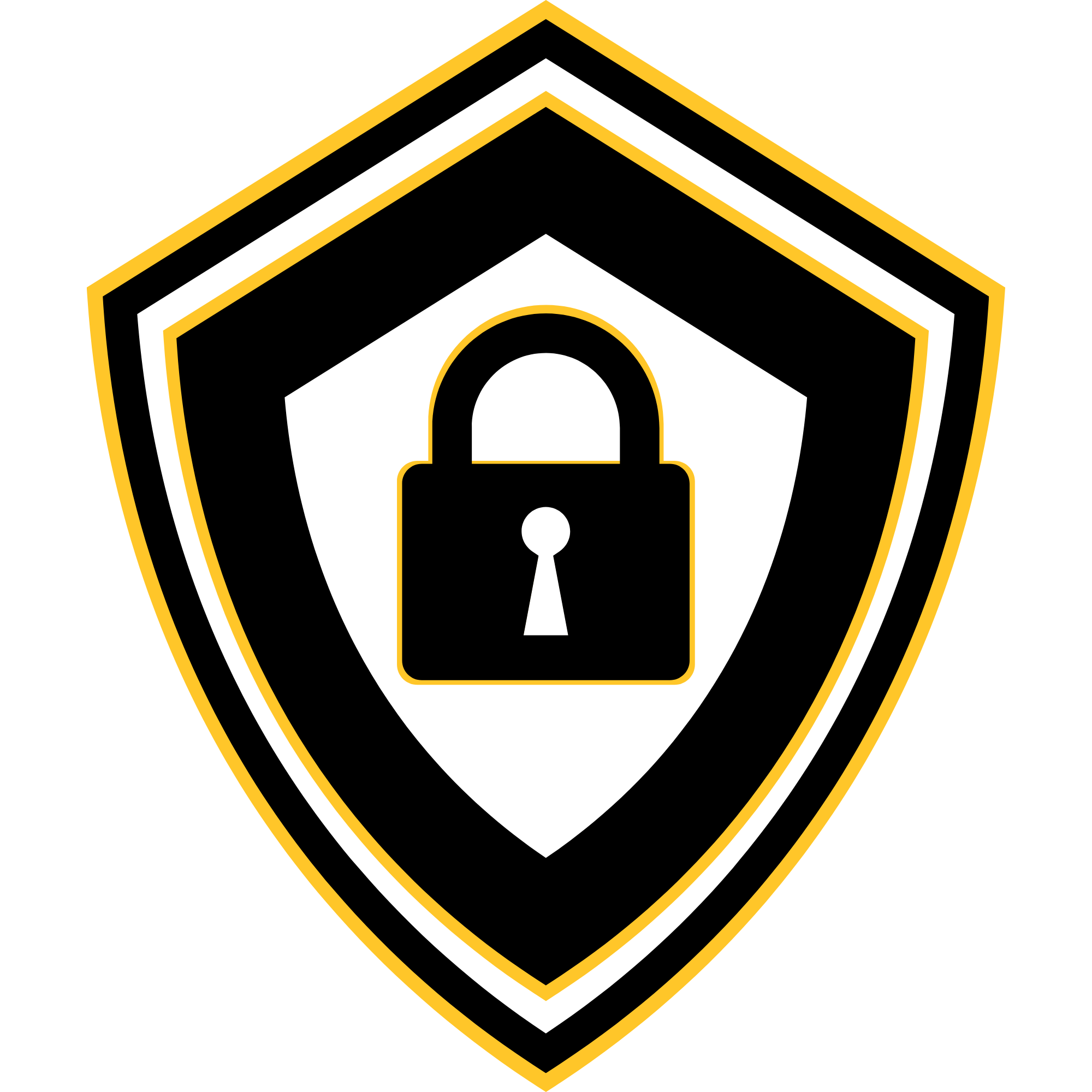 Icon of a shield with a lock symbol