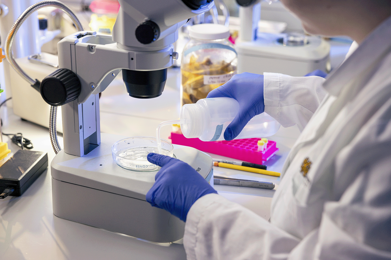 A KSU researcher conducts an experiment.